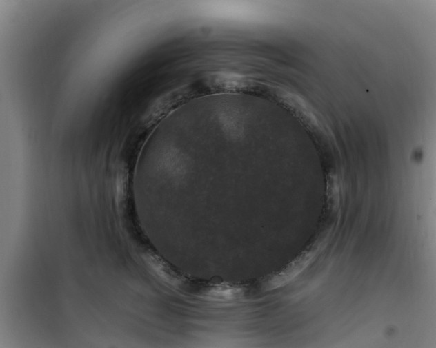 X0000101100760200807031750