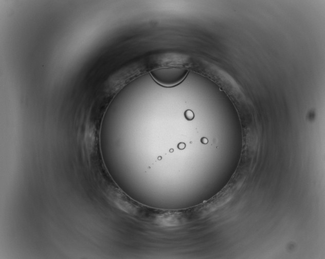 X0000101100761200807031750
