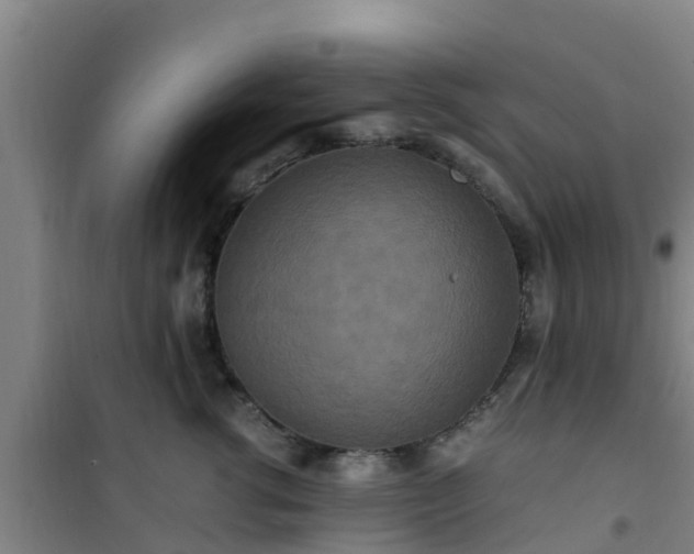 X0000101100762200807031750