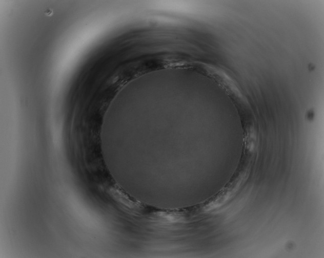 X0000101100763200807031750