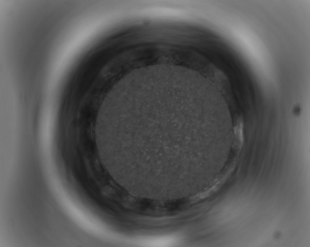 X0000101100765200807031750