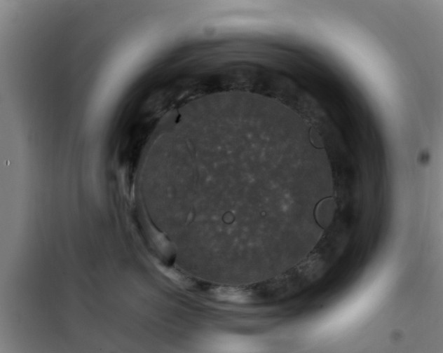 X0000101100766200807031750