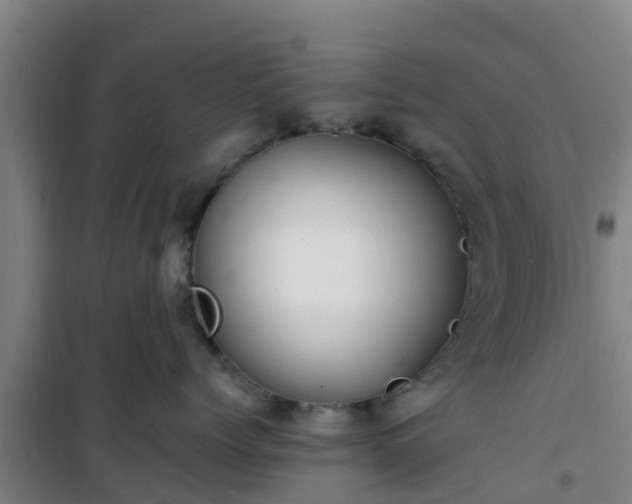 X0000101100768200807031750