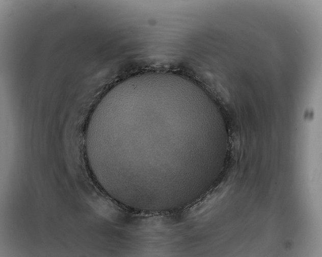 X0000101100769200807031750