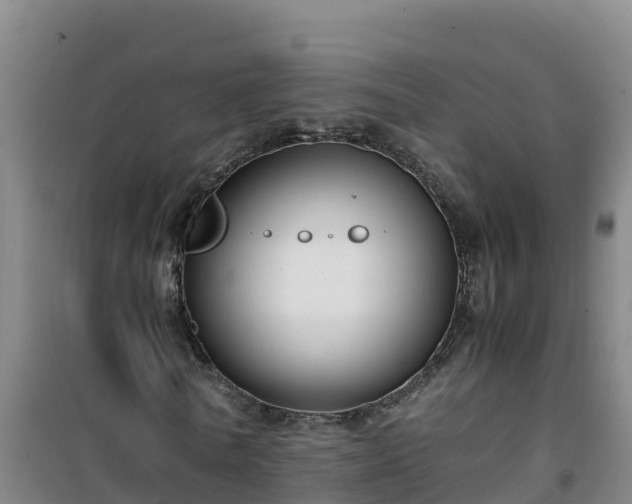 X0000101100770200807031750