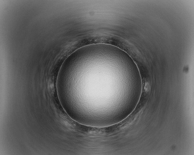 X0000101100771200807031750