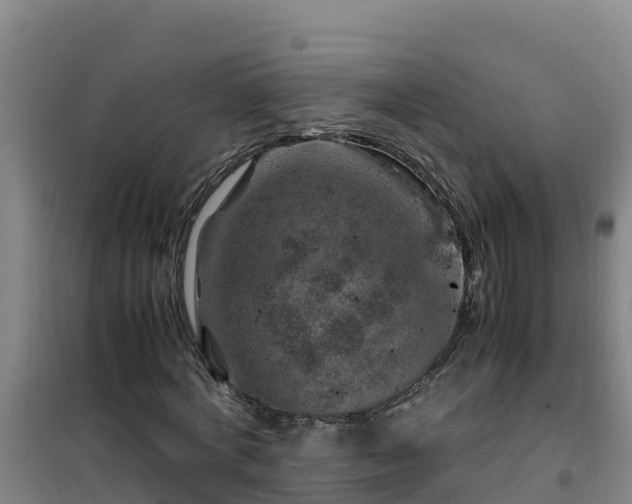 X0000101100772200807031750