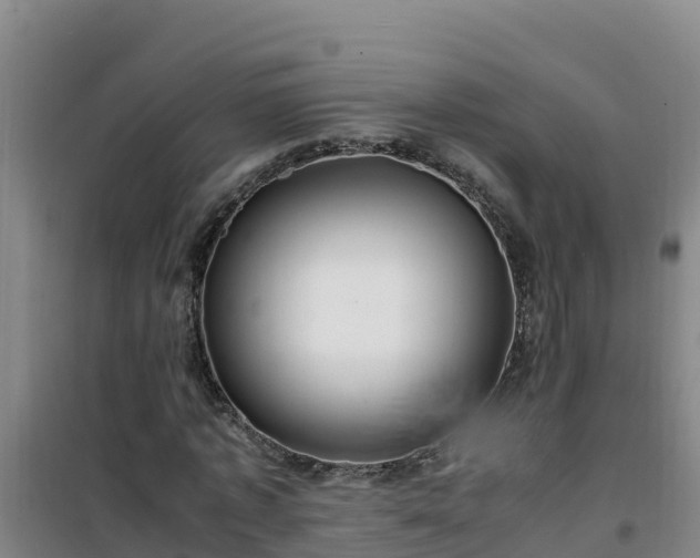 X0000101100773200807031750