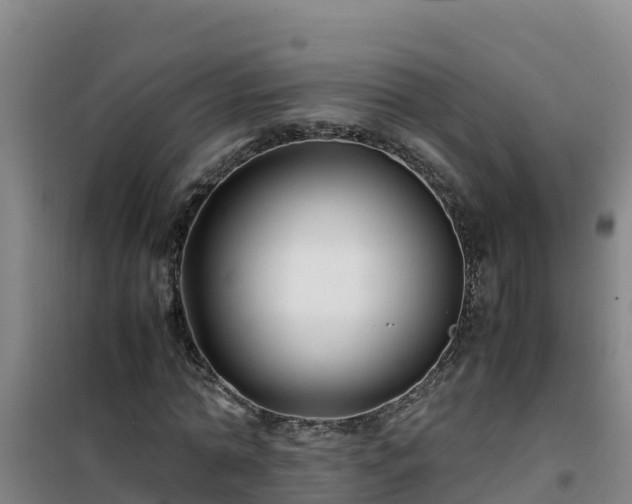 X0000101100774200807031750