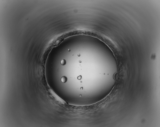 X0000101100776200807031750