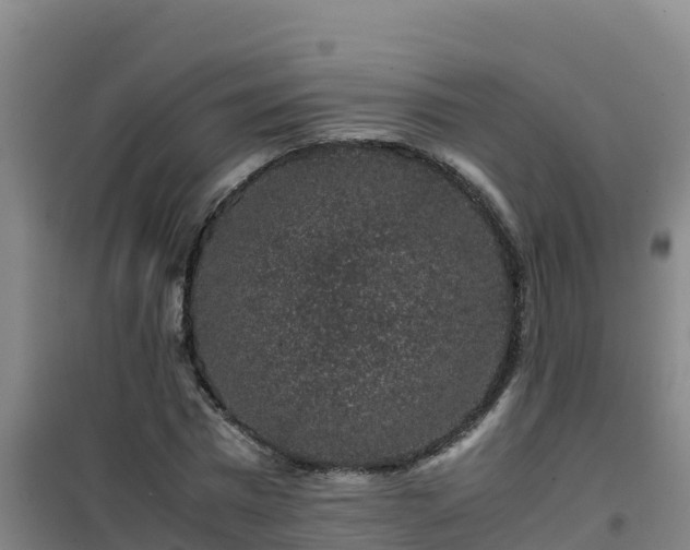 X0000101100777200807031750