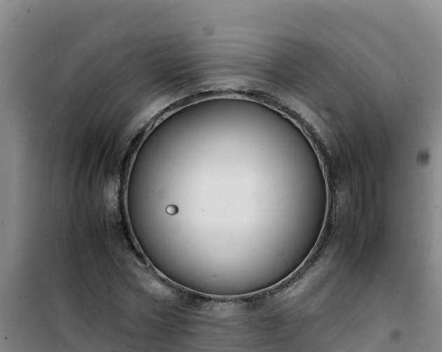 X0000101100778200807031749