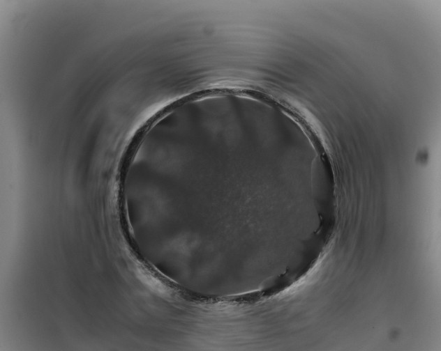X0000101100779200807031749