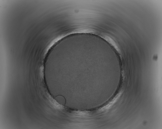 X0000101100781200807031749