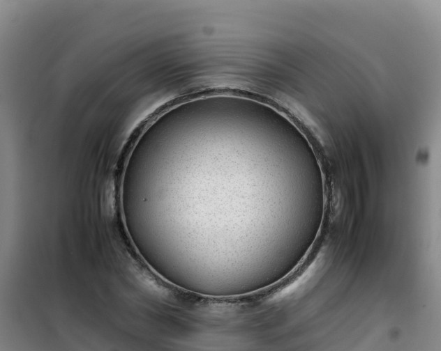 X0000101100782200807031749