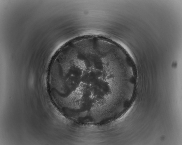 X0000101100783200807031749