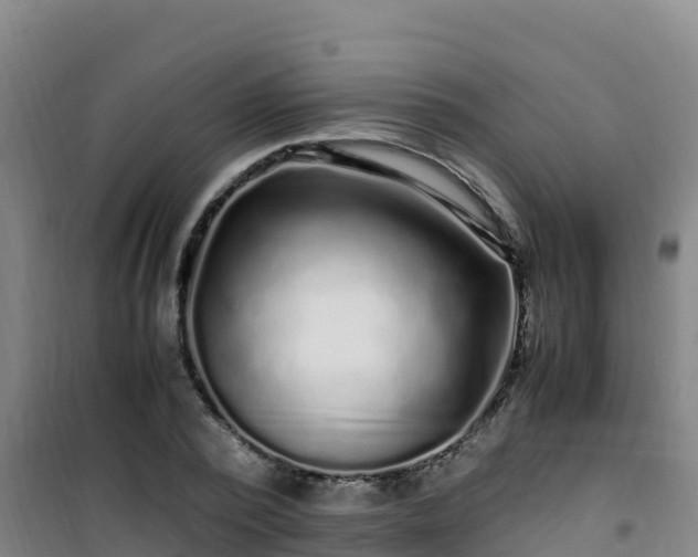 X0000101100784200807031749