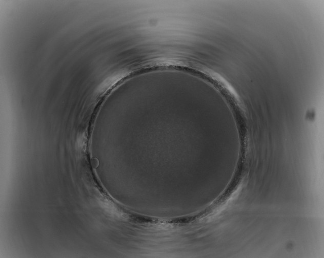 X0000101100785200807031749