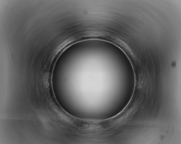 X0000101100786200807031749