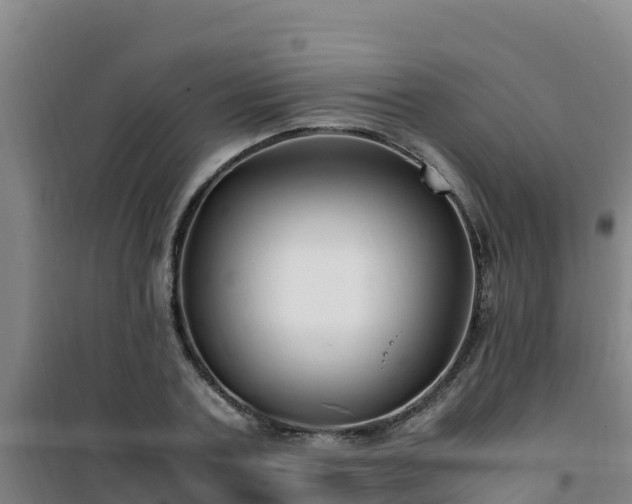X0000101100787200807031749