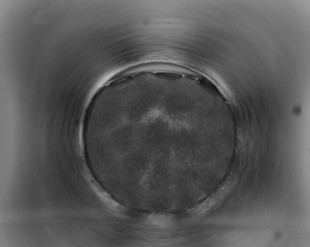 X0000101100788200807031749
