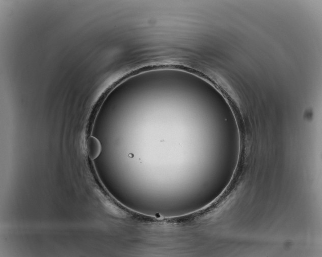 X0000101100789200807031749