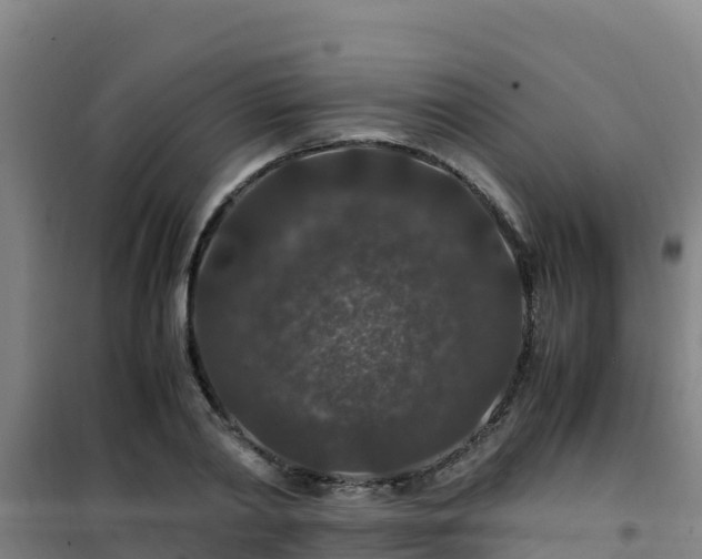 X0000101100790200807031749