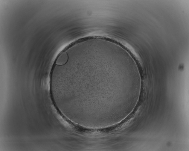 X0000101100791200807031749