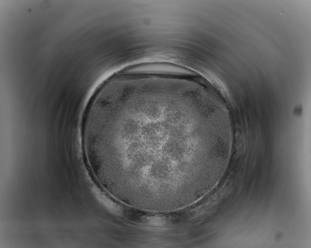 X0000101100792200807031749