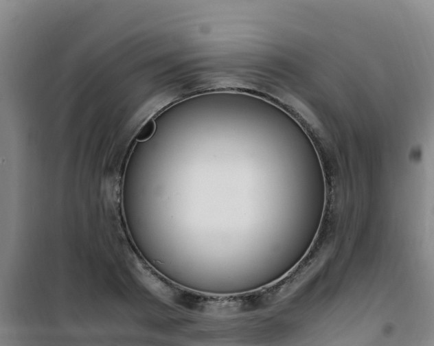 X0000101100793200807031749