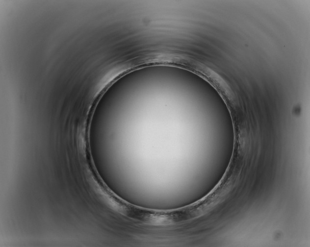 X0000101100794200807031749