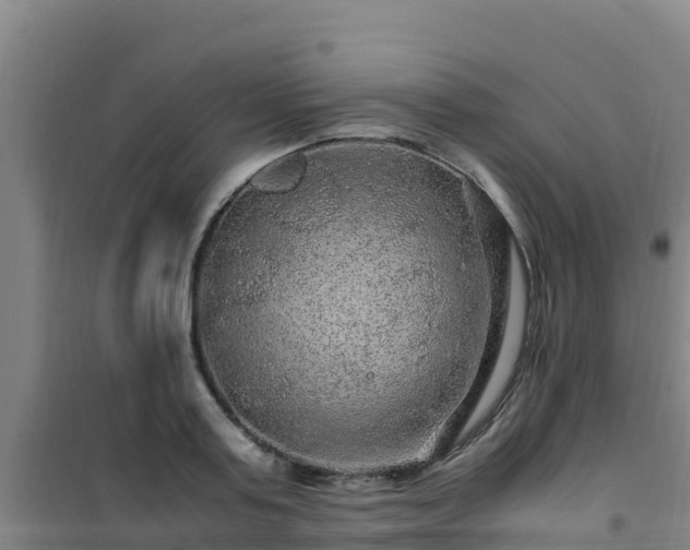 X0000101100795200807031749