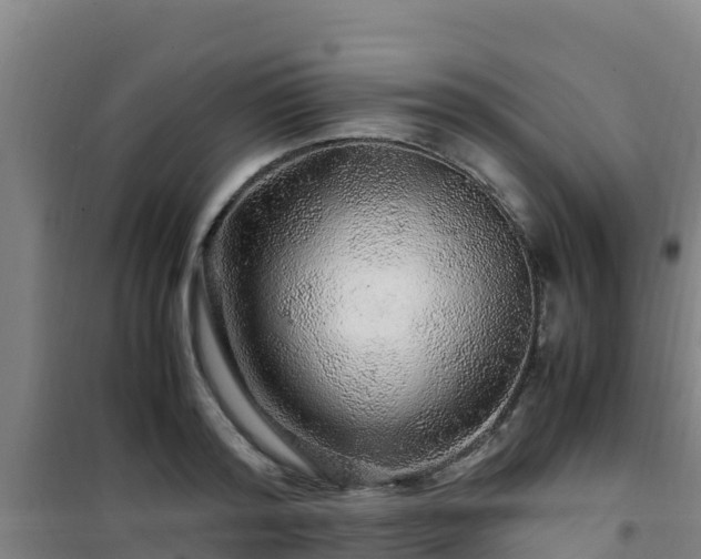 X0000101100796200807031749