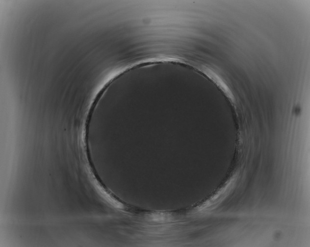 X0000101100797200807031749