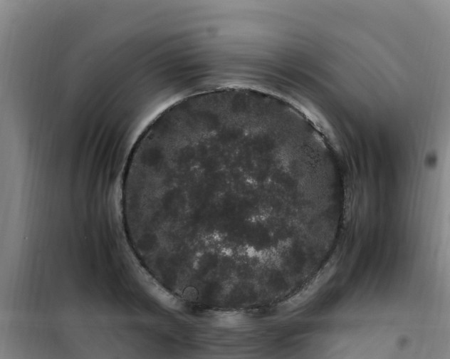 X0000101100798200807031749