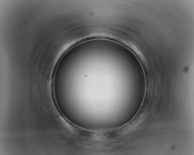 X0000101100799200807031749