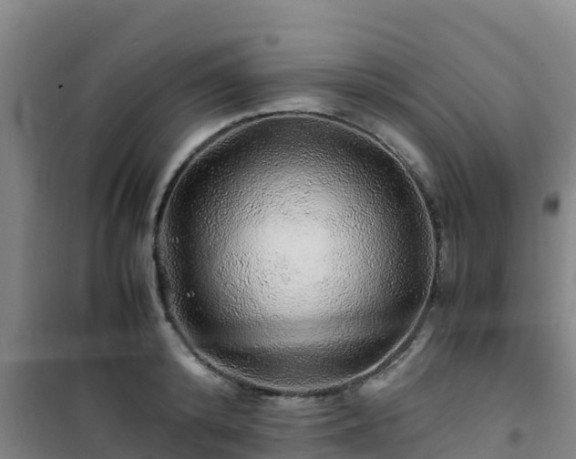X0000101100800200807031749
