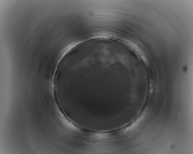X0000101100802200807031749