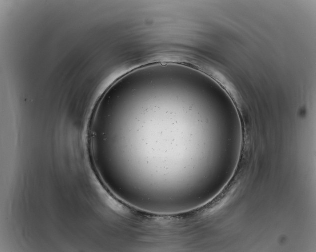 X0000101100803200807031749