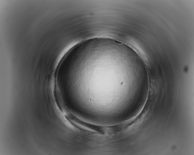 X0000101100804200807031749