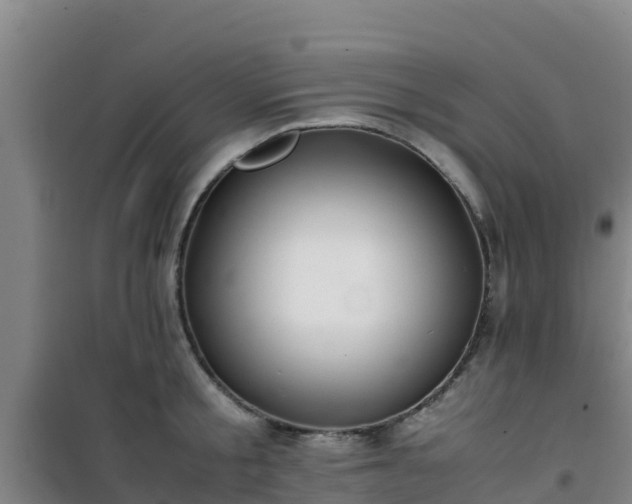 X0000101100805200807031749