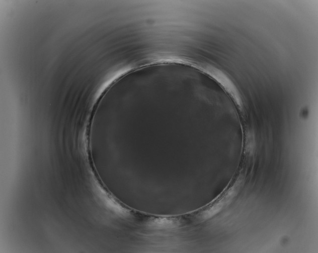X0000101100806200807031749