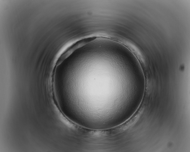 X0000101100808200807031749