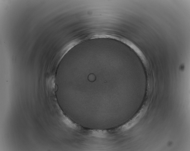 X0000101100809200807031749