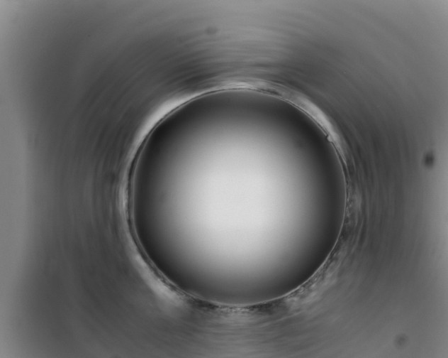 X0000101100811200807031749