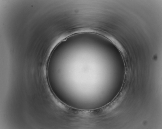 X0000101100813200807031749