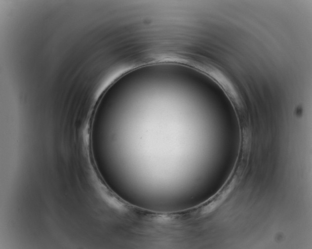 X0000101100814200807031749