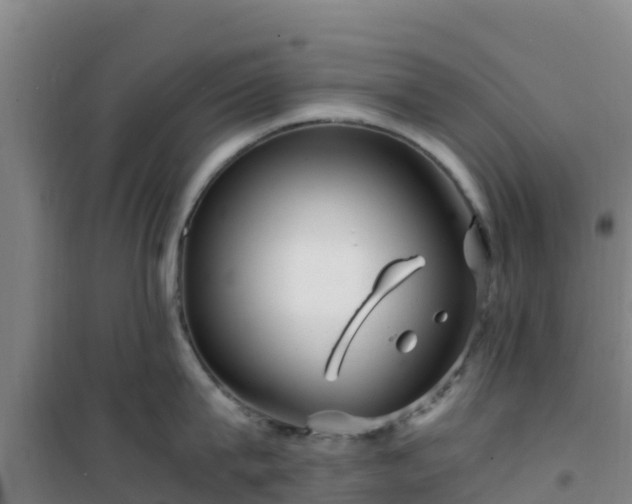 X0000101100815200807031749