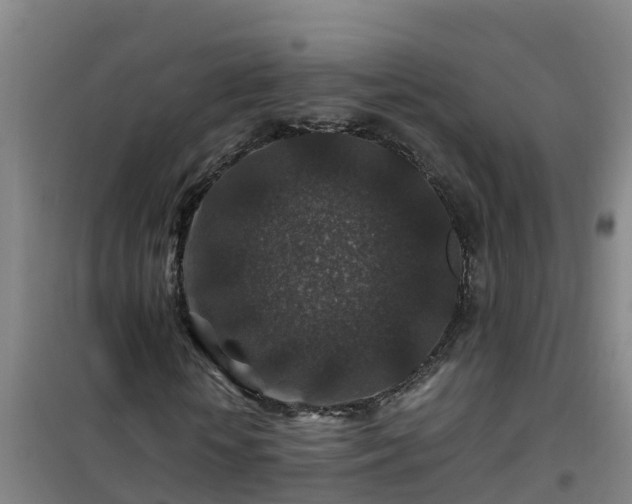 X0000101100818200807031748