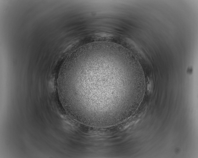 X0000101100819200807031748
